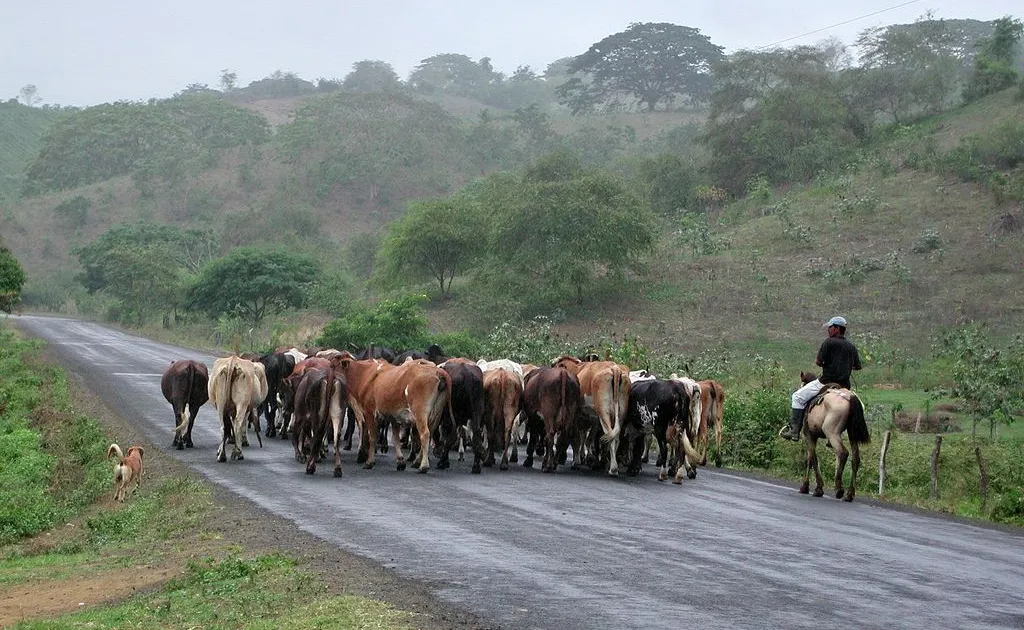 Ruta del sol - Ecuador