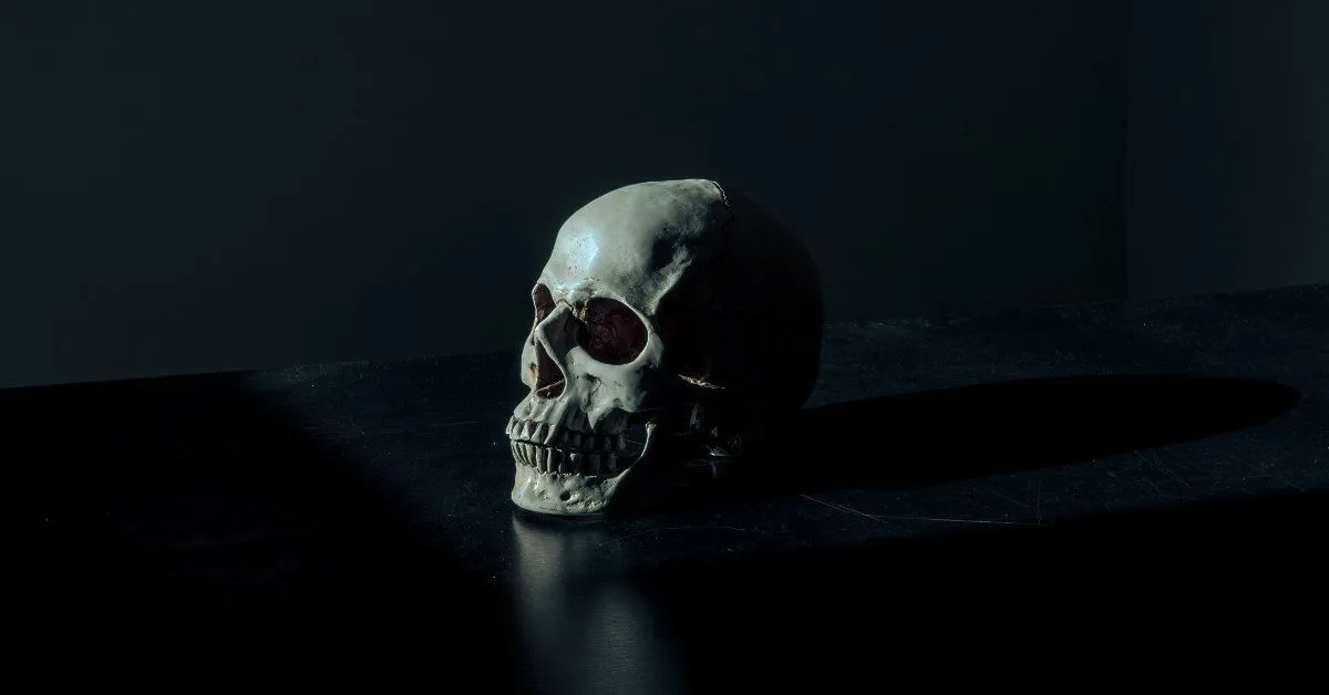 Fotografía de una calavera humana sobre fondo negro. Fotografía de Mathew MacQuarrie (Unsplash)