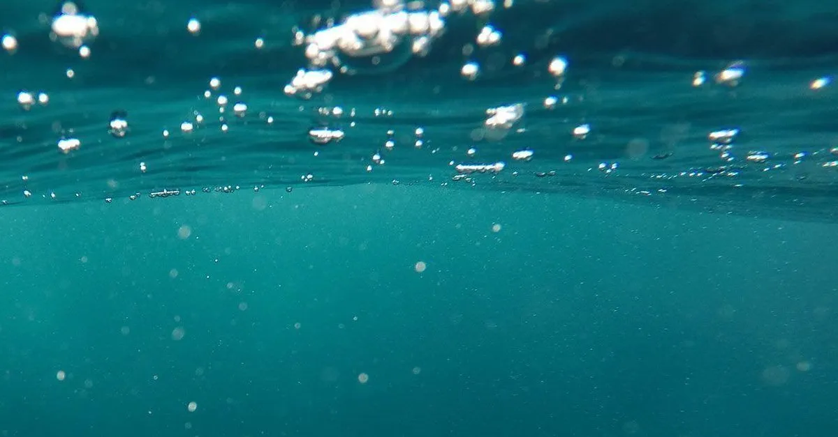 Fotografía subacuática donde se ven burbujas en el agua